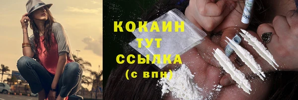 твердый Инсар