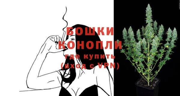 дурь Инта