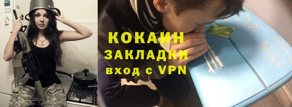 дурь Инта