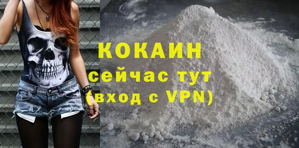 дурь Инта