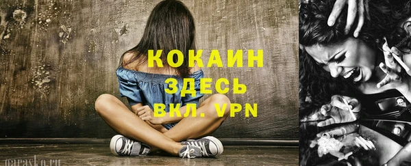 дурь Инта