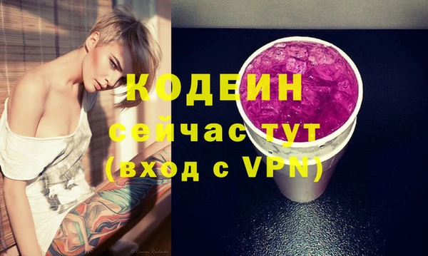 дурь Инта