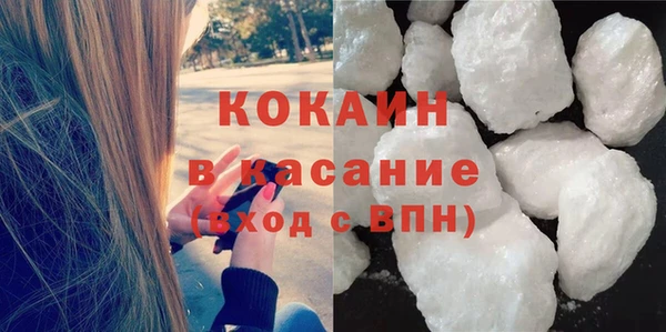 твердый Инсар