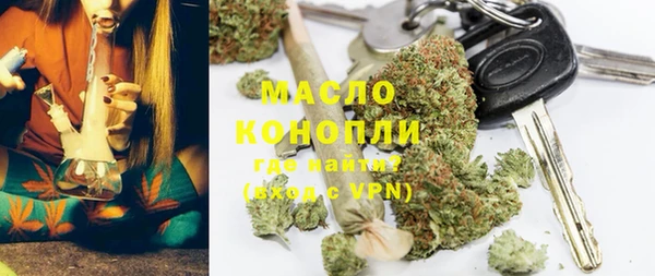 твердый Инсар