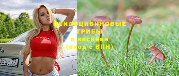 твердый Инсар