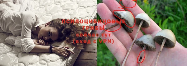 твердый Инсар
