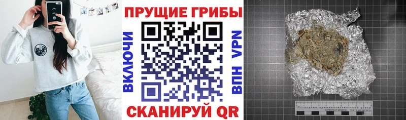 Купить где  Зеленоградск  Галлюциногенные грибы прущие грибы 